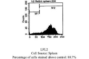 Rat anti CD44 (HCAM) (Ly-24, Pgp-1) IM7. (CD44 antibody  (Biotin))