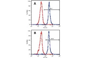 Flow Cytometry analysis of LAT expression in peripheral blood lymphocytes using anti-human LAT (LAT-01) (surface markers were stained prior to intracellular staining of human LAT). (LAT antibody  (Cytoplasmic Domain))