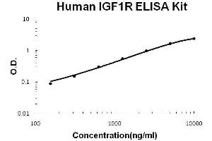 Human IGF1R PicoKine ELISA Kit standard curve