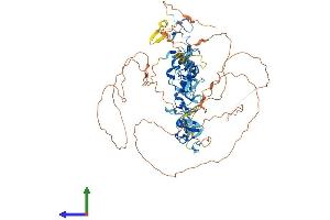 AlphaFold protein structure predicition of Mouse Recombinant Ablim3 Protein, UniprotID Q69ZX8