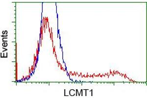 HEK293T cells transfected with either RC200018 overexpress plasmid (Red) or empty vector control plasmid (Blue) were immunostained by anti-LCMT1 antibody (ABIN2454741), and then analyzed by flow cytometry. (LCMT1 antibody)