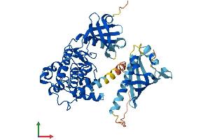 Protein Structure (PS) image for Calcium/calmodulin-Dependent Protein Kinase II alpha (CAMK2A) (AA 1-478) protein (His tag) (ABIN7562842)