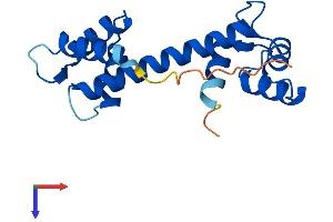 EF-Hand Calcium Binding Domain 11 (EFCAB11) (AA 1-162) protein (His tag)