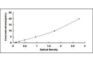 Typical standard curve (TGOLN2 ELISA Kit)