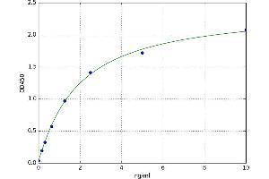 A typical standard curve (HDAC2 ELISA Kit)