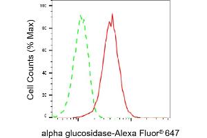 Flow cytometric analysis of alpha glucosidase expression in HepG2 cells using alpha glucosidase antibody (ABIN7797585), 1:2,000).