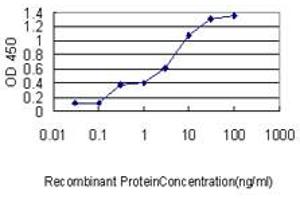 ELISA image for anti-Mitochondrial Ribosomal Protein L12 (MRPL12) (AA 1-199) antibody (ABIN598585) (MRPL12 antibody  (AA 1-199))