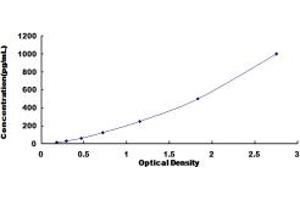 LTB ELISA Kit