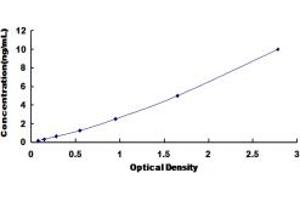 FLT4 ELISA Kit