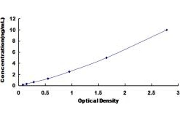 FLT4 ELISA Kit