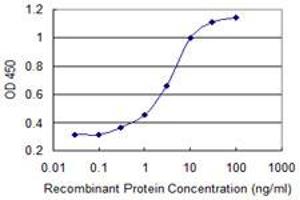 Detection limit for recombinant GST tagged PDE3A is 0. (PDE3A antibody  (AA 533-640))