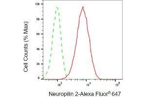 anti-Neuropilin 2 (NRP2) antibody