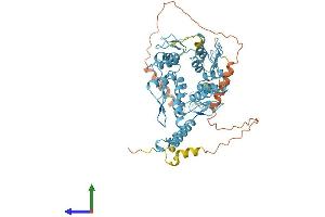 AlphaFold protein structure predicition of Human Recombinant ZFP14 Protein, UniprotID Q9HCL3