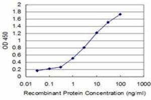 Detection limit for recombinant GST tagged TRIM49 is approximately 0. (TRIM49 antibody  (AA 251-340))
