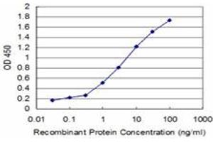 Detection limit for recombinant GST tagged TRIM49 is approximately 0. (TRIM49 antibody  (AA 251-340))