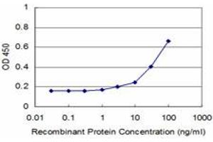 Detection limit for recombinant GST tagged FHIT is approximately 1ng/ml as a capture antibody. (FHIT antibody  (AA 31-130))