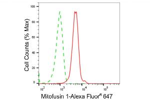 Flow cytometric analysis of Mitofusin 1 expression in C2C12 cells using Mitofusin 1 antibody (ABIN7799439), 1:2,000). (Recombinant MFN1 antibody)