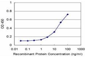 Detection limit for recombinant GST tagged CTDSP2 is approximately 3ng/ml as a capture antibody. (CTDSP2 antibody  (AA 1-99))