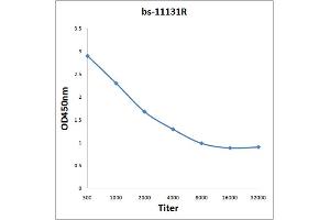 Antigen: 0. (LALBA antibody  (AA 61-142))