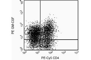 Expression of GM-CSF by stimulated human peripheral blood mononuclear cells (PBMC). (GM-CSF antibody)