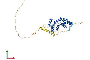 AlphaFold protein structure predicition of Mouse Recombinant Rgs19 Protein, UniprotID Q9CX84 (RGS19 Protein (AA 1-216) (His tag))