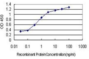 Detection limit for recombinant GST tagged COMMD1 is approximately 0. (COMMD1 antibody  (AA 1-190))