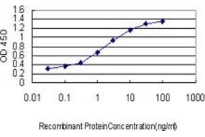 Detection limit for recombinant GST tagged DLX5 is approximately 0. (DLX5 antibody  (AA 1-110))