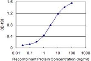 Detection limit for recombinant GST tagged ABCC4 is 0. (ABCC4 antibody  (AA 1-110))