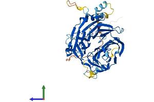 Protein Structure (PS) image for DDB1 and CUL4 Associated Factor 12 (DCAF12) (AA 1-453) protein (His tag) (ABIN7546973)