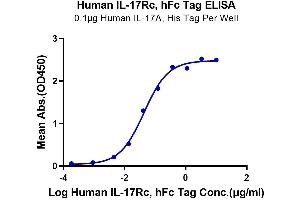 Immobilized Human IL-17A, His Tag at 1 μg/mL (100 μL/Well) on the plate. (IL17RC Protein (AA 21-467) (Fc Tag))