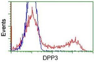 HEK293T cells transfected with either RC219658 overexpress plasmid (Red) or empty vector control plasmid (Blue) were immunostained by anti-DPP3 antibody (ABIN2454856), and then analyzed by flow cytometry. (DPP3 antibody)