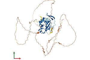 AlphaFold protein structure predicition of Mouse Recombinant Tbx22 Protein, UniprotID Q8K402 (T-Box 22 Protein (TBX22) (AA 1-517) (His tag))