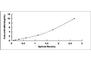 Typical standard curve (DRD4 ELISA Kit)