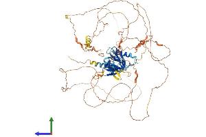 AlphaFold protein structure predicition of Mouse Recombinant Mapk8ip2 Protein, UniprotID Q9ERE9 (IB2 Protein (AA 1-830) (His tag))