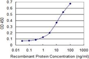 Detection limit for recombinant GST tagged IL6ST is 0. (CD130/gp130 antibody  (AA 23-122))
