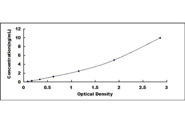 ACPP ELISA Kit