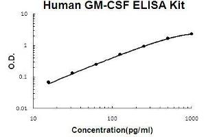 Human GM-CSF PicoKine ELISA Kit standard curve (GM-CSF ELISA Kit)