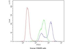 Flow cytometry testing of human SW480 cells with CA2 antibody at 1ug/10^6 cells (blocked with goat sera) (CA2 antibody)
