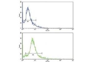 Flow cytometric analysis of HeLa cells using SKP2 antibody (green) compared to a negative control (blue). (SKP2 antibody  (AA 156-185))