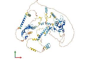 AlphaFold protein structure predicition of Human Recombinant MCM10 Protein, UniprotID Q7L590 (MCM10 Protein (AA 1-875) (His tag))