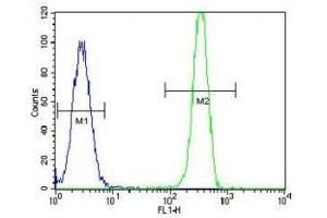 MSH2 antibody flow cytometric analysis of HeLa cells (green) compared to a negative control (blue). (MSH2 antibody  (AA 637-665))