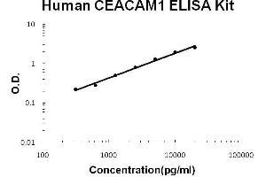 Human CEACAM1 PicoKine ELISA Kit standard curve