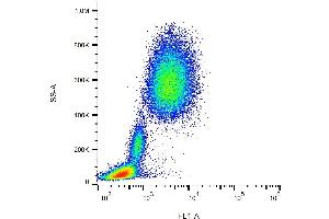 Surface staining of human peripheral blood with anti-human CD10 (MEM-78) FITC. (MME antibody  (FITC))