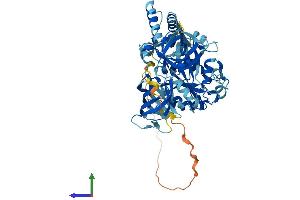 AlphaFold protein structure predicition of Mouse Recombinant Gtpbp2 Protein, UniprotID Q3UJK4 (GTPBP2 Protein (AA 1-602) (His tag))