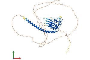 AlphaFold protein structure predicition of Human Recombinant TSPYL4 Protein, UniprotID Q9UJ04 (TSPY-Like 4 Protein (TSPYL4) (AA 1-414) (His tag))
