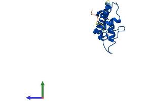 AlphaFold protein structure predicition of Human Recombinant H2AZ2 Protein, UniprotID Q71UI9 (H2AFV Protein (AA 1-128) (His tag))