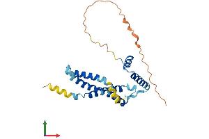 Protein Structure (PS) image for Transmembrane Protein 65 (TMEM65) (AA 1-234) protein (His tag) (ABIN7557398)