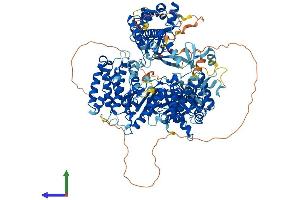 AlphaFold protein structure predicition of Human Recombinant TERT Protein, UniprotID O14746 (TERT Protein (AA 1-1132) (His tag))