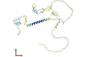 AlphaFold protein structure predicition of Mouse Recombinant Ldlrad4 Protein, UniprotID Q8BWJ4