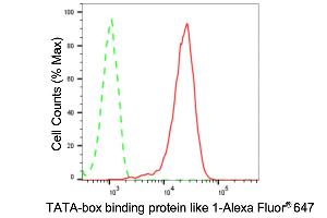 Flow cytometric analysis of TATA-box binding protein like 1 expression in HT- cells using TATA-box binding protein like 1 antibody (ABIN7800523), 1:2,000). (Recombinant TBPL1 antibody)
